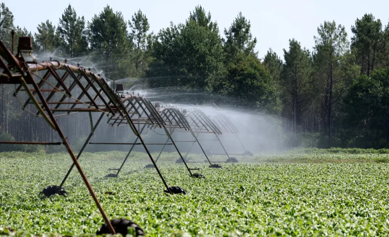 Réforme de la Gouvernance de l&rsquo;Eau dans le Cadre de la Loi d&rsquo;Urgence Agricole