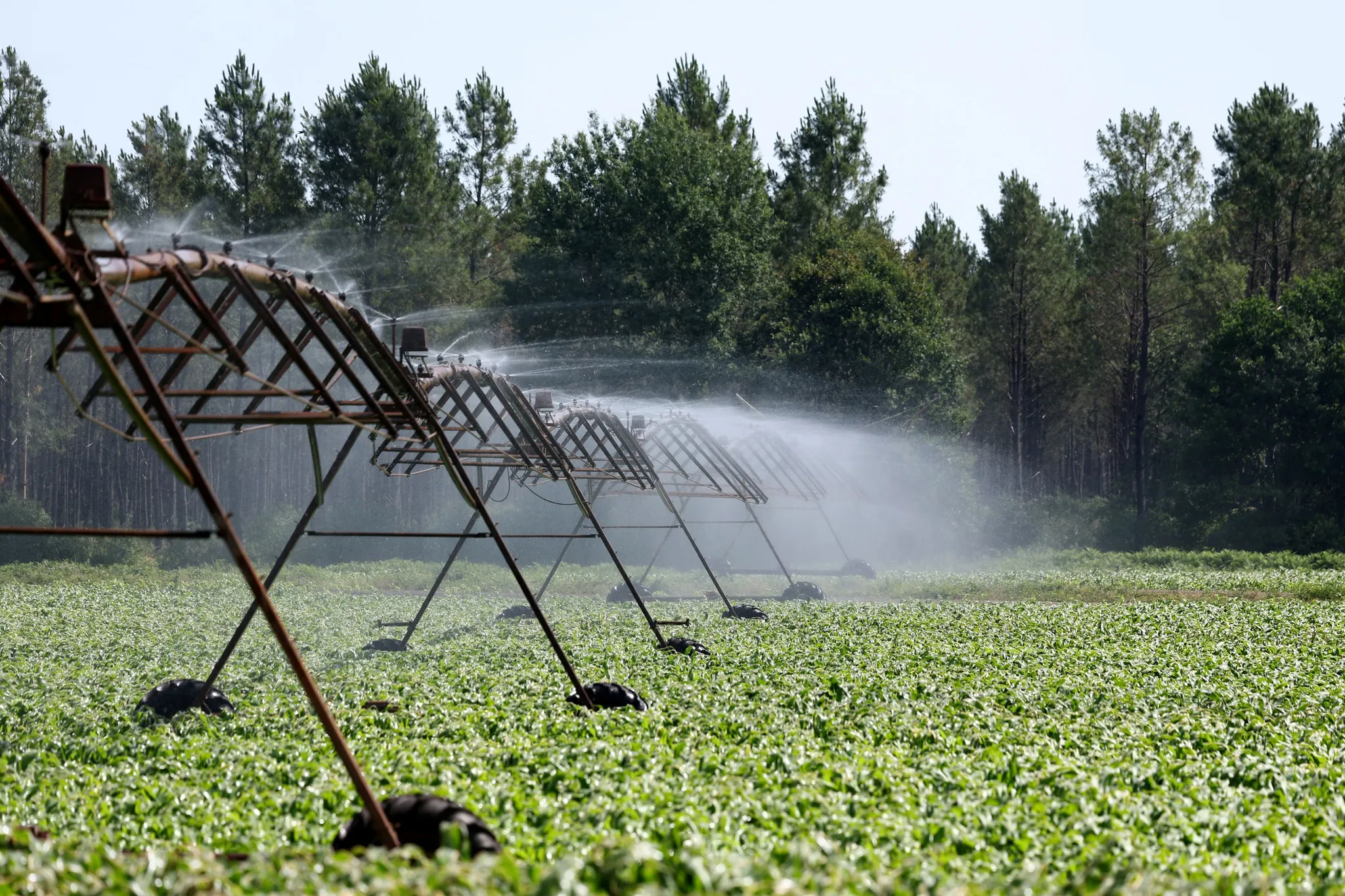 Réforme de la Gouvernance de l&rsquo;Eau dans le Cadre de la Loi d&rsquo;Urgence Agricole
