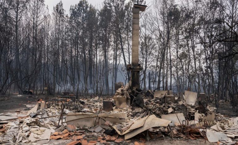 Le défi de relogement après les incendies à Arcachon