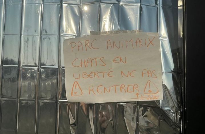 Les Animaux Réfugiés au Parc des Expositions de Bordeaux