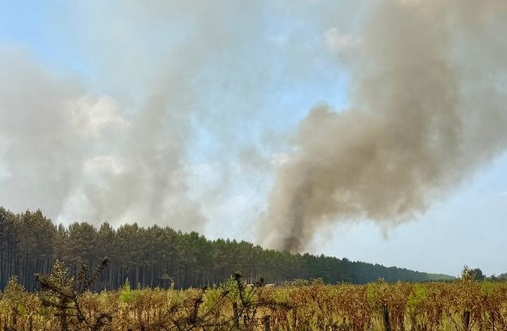 Incendies en Gironde : la bataille pour stabiliser les feux continue