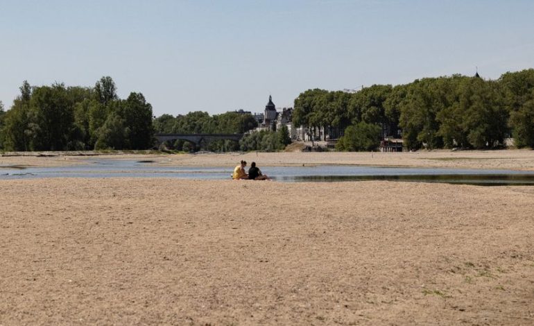 Une sécheresse précoce frappe la Loire