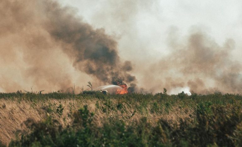 Incendies en Gironde : Mesures prises et impacts des incendies