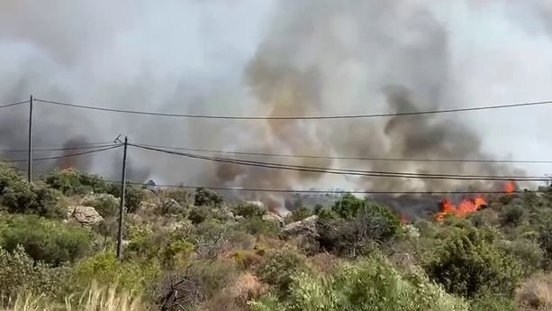 L&rsquo;impact des incendies sur le rôle des forêts en tant que puits de carbone