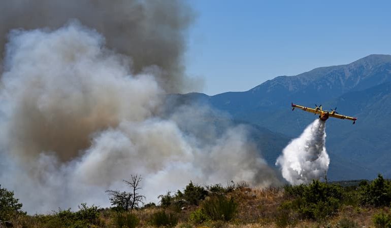 Feux de forêt en France : Situation critique en juillet 2026