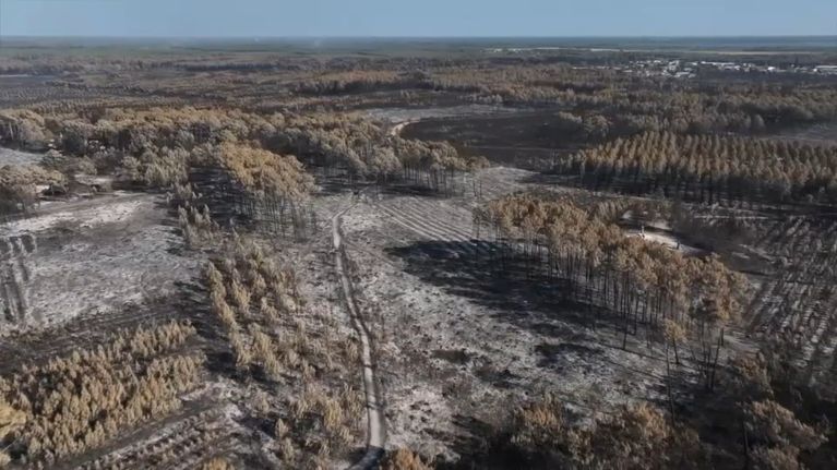 L&rsquo;incendie en Gironde : un désastre de 42.000 hectares