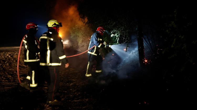 Les Pompiers Luttent contre une Nouvelle Reprise de Feu en Forêt de Fontainebleau