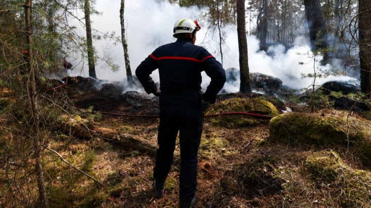 Les pompiers adoptent l&rsquo;intelligence artificielle pour combattre les feux de forêt