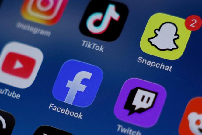 Les députés insoumis saisissent le Conseil constitutionnel sur la loi réseaux sociaux