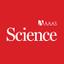 Science Immunology célèbre ses dix ans avec un numéro spécial sur la mémoire immunitaire