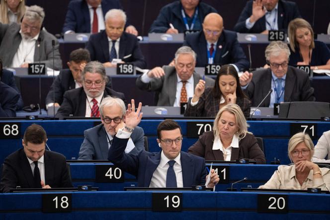 Le Parlement européen et la situation du Rassemblement national