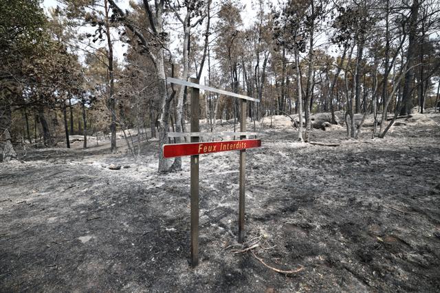Un incendie criminel à Fontainebleau : Profil des pyromanes
