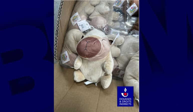 Saisie de Jouets Non Conformes par les Douanes des Bouches-du-Rhône