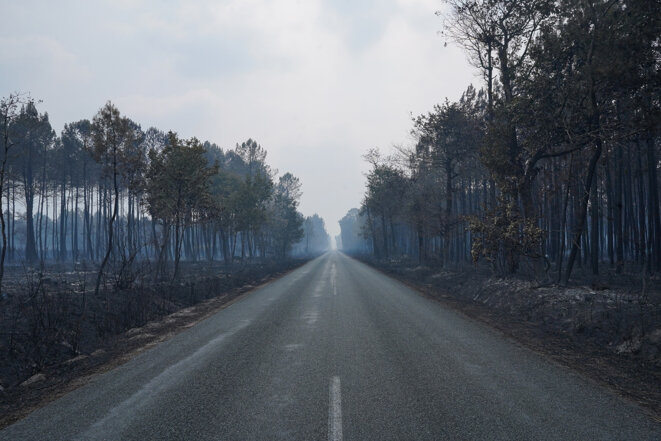 Climat En Gironde, après le feu, le temps des questions
