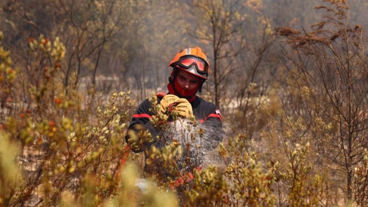 Test physique des pompiers professionnels : un parcours exigeant