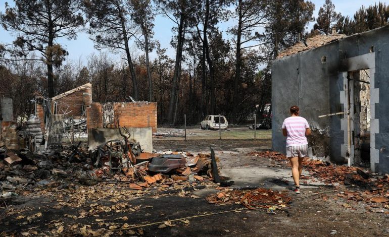 Situation actuelle des incendies et mesures de sécurité en France
