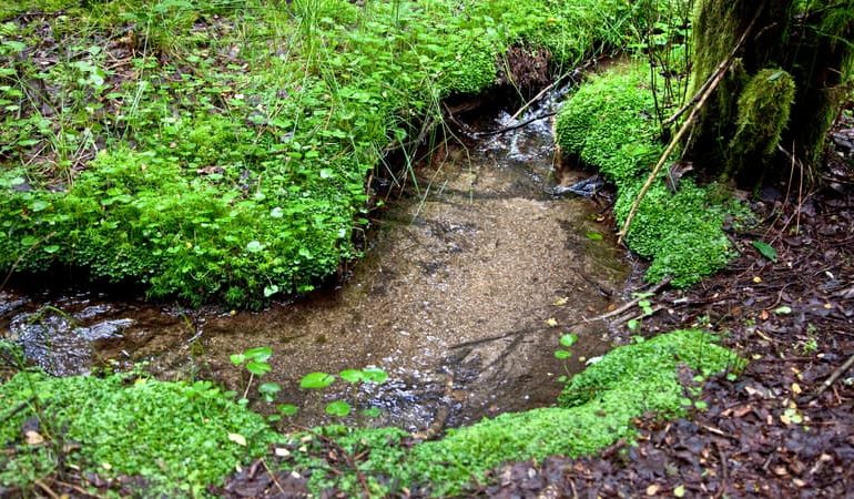 Sécheresse en France: une situation critique pour les cours d&rsquo;eau