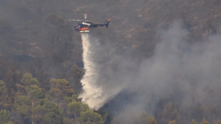 Vigilance Orange pour Feux de Forêt en France