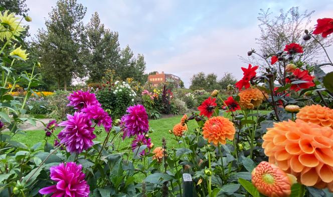 Artistes en leur jardin : L&rsquo;influence d&rsquo;Emil Nolde