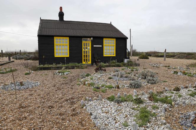 Un refuge improbable : le jardin de Derek Jarman à Dungeness