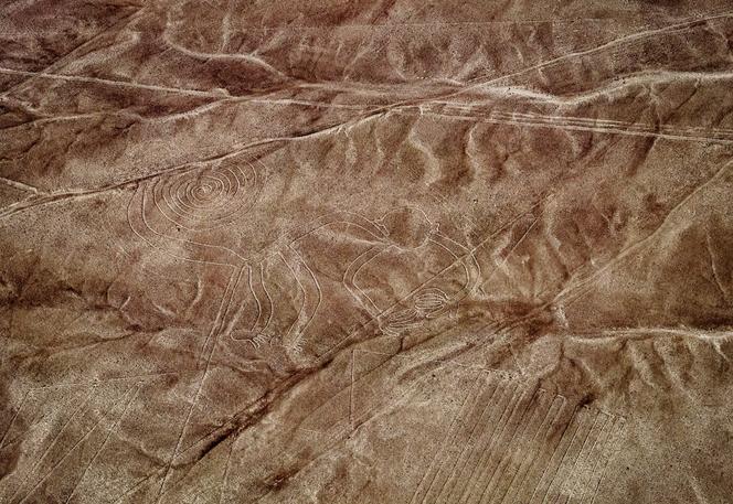 Tragédie aérienne au-dessus des lignes de Nazca
