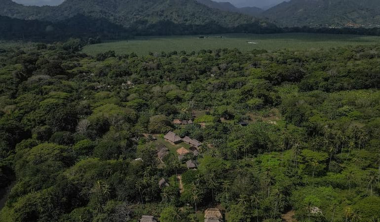 Assassinats et tensions sur les territoires autochtones du Venezuela