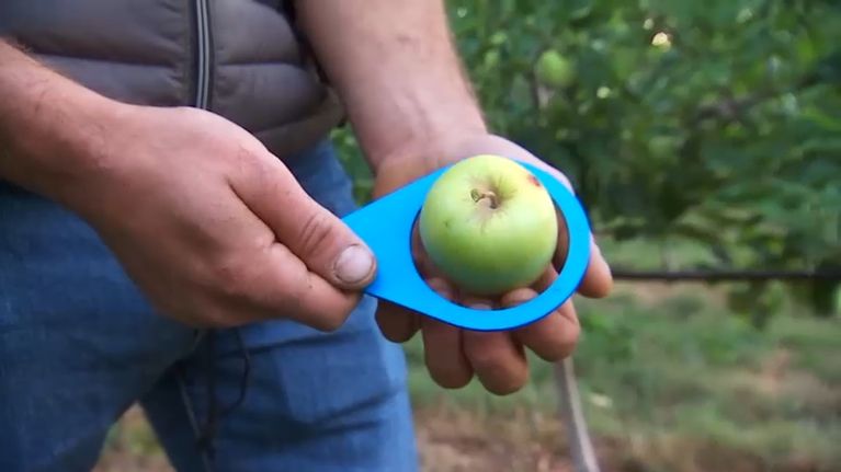 Les fruits et légumes imparfaits enfin valorisés en grande distribution