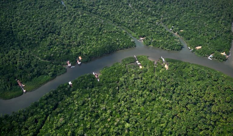 Amélioration de la déforestation en Amazonie depuis le retour de Lula