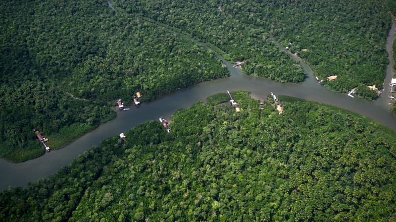 Amélioration de la déforestation en Amazonie depuis le retour de Lula