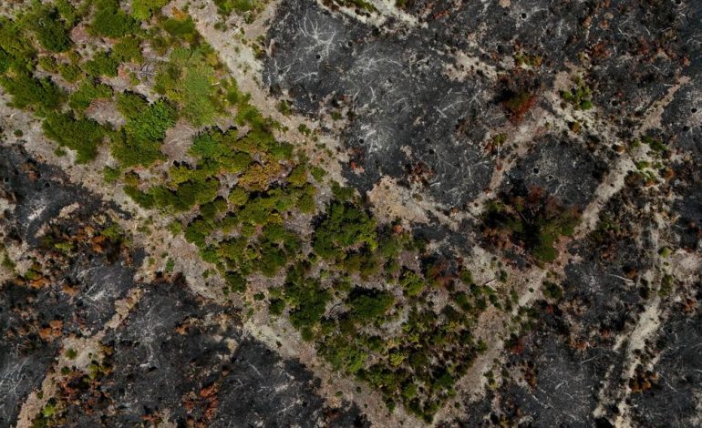 Incendies et mesures préventives : un regard sur les régions touchées