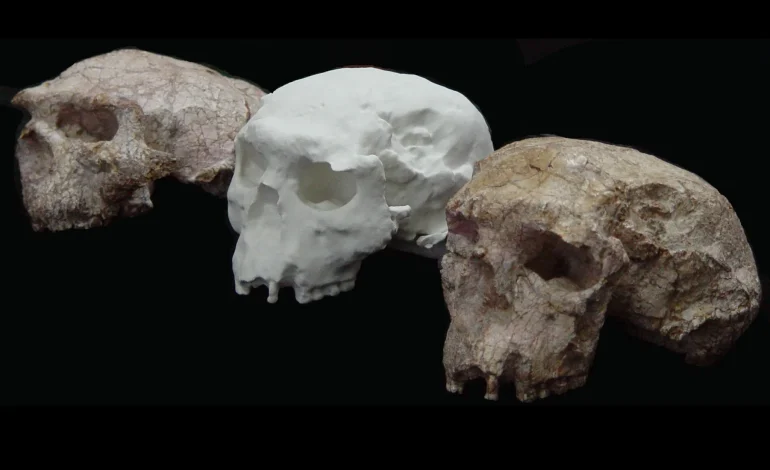 La Supercherie du Fossile de Piltdown