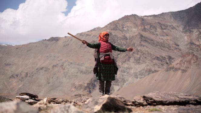Impact de la Zanskar Highway sur le Ladakh