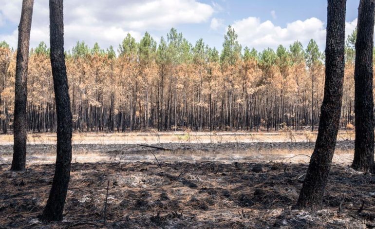 La situation des incendies en Gironde, Drôme et Balkans, et les mesures prises