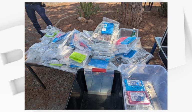 Saisie importante de cannabis dans le Var
