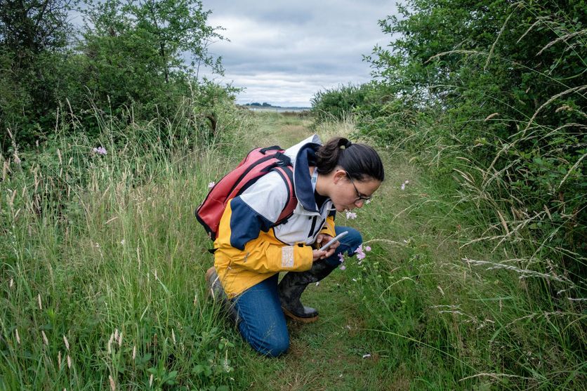 La participation citoyenne dans la recherche scientifique
