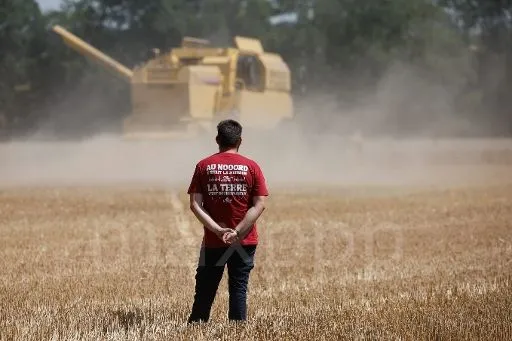 L&rsquo;impact des canicules et de la sécheresse sur l&rsquo;offre alimentaire