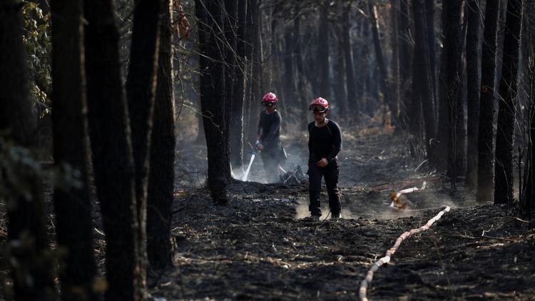 L&rsquo;aide aux sinistrés du mégafeu en Gironde: assurance et procédures