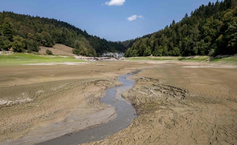 Vagues de chaleur et sécheresse : impacts sur l&rsquo;Europe et réponse des autorités