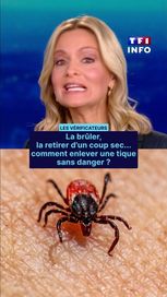 Comment retirer une tique en toute sécurité
