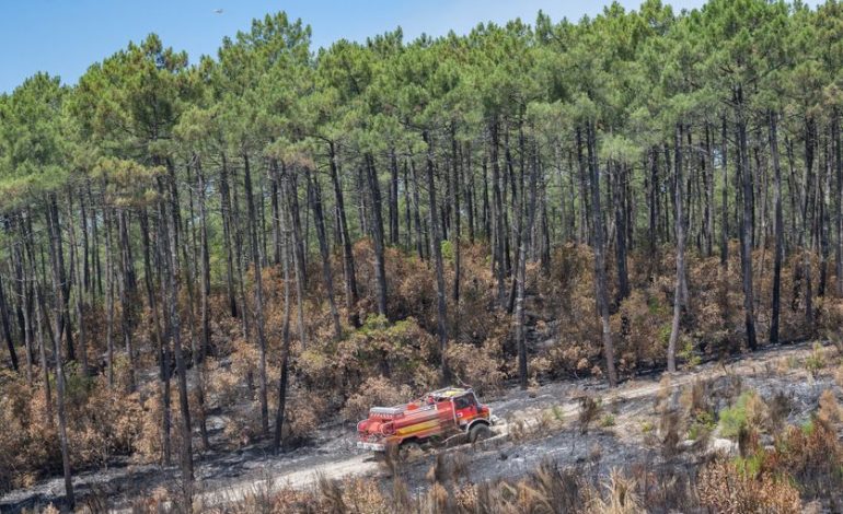 La lutte contre le feu en Gironde et l&rsquo;avenir des forêts de Landes