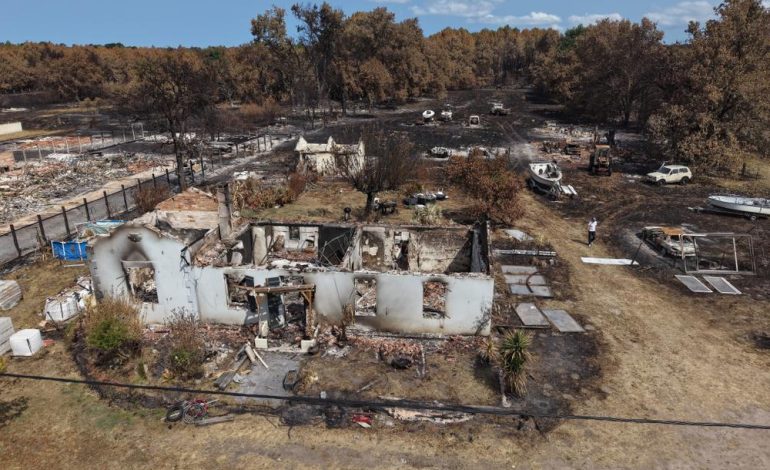 Incendies en France et aux États-Unis : situations critiques