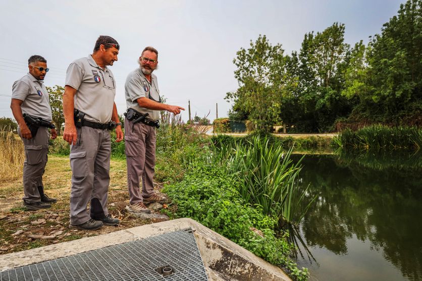 Surveillance de l&rsquo;eau dans le Marais poitevin face à la sécheresse