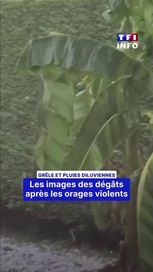 Intempéries : grêle et pluies violentes, les dégâts en images