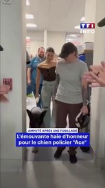 L&rsquo;hommage à Ace, le chien policier héroïque