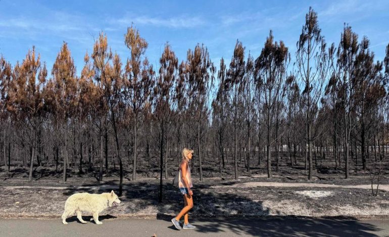 Incendies : situation critique et efforts de secours