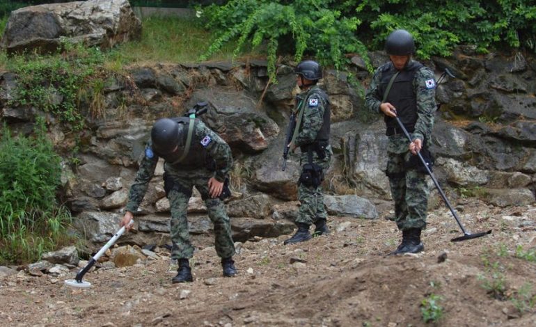 Dangers Mortels le Long de la Frontière Coréenne