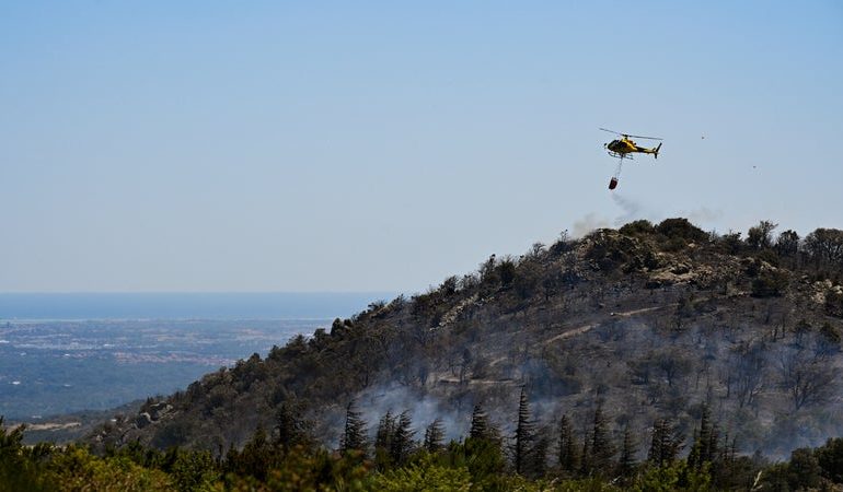 Incendies de forêt dans les Pyrénées-Orientales : risques accrus et mobilisation