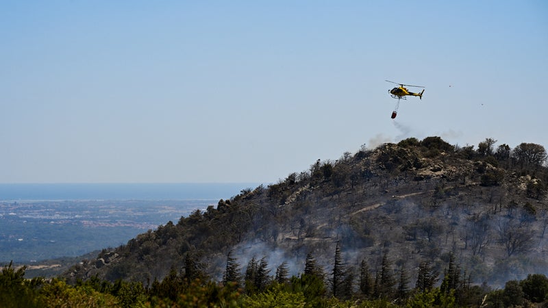 Incendies de forêt dans les Pyrénées-Orientales : risques accrus et mobilisation