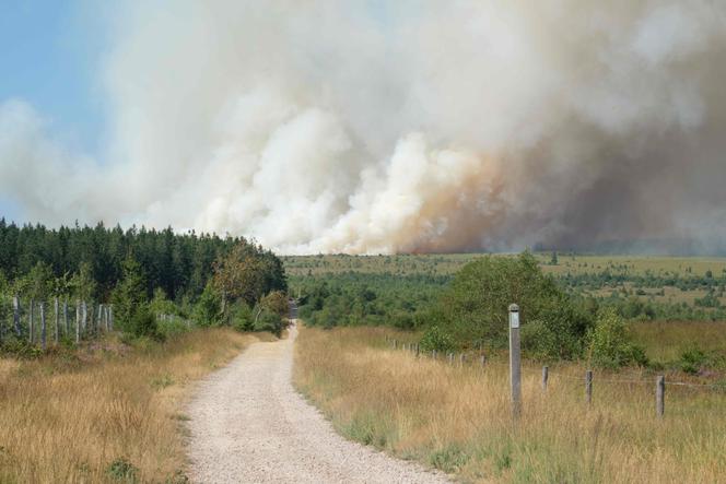 Un vaste incendie ravage le parc naturel des Hautes Fagnes en Belgique