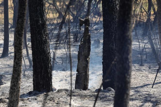 Incendies dans le Var, la Drôme et la Lozère: Bilan et Efforts des Pompiers